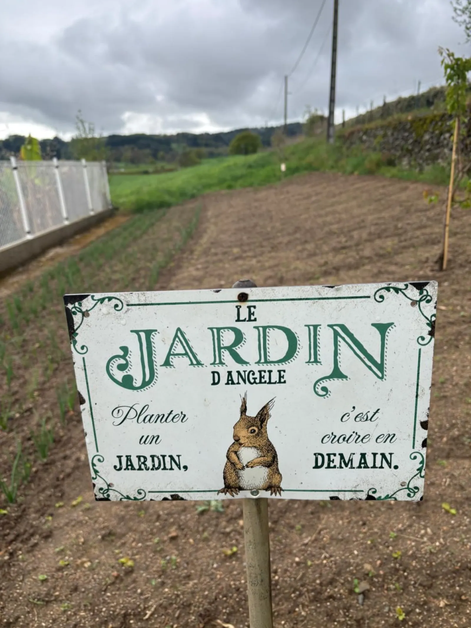 Giardino di Angèle — orto ed erbe aromatiche al Gîte Angèle, Sénezergues